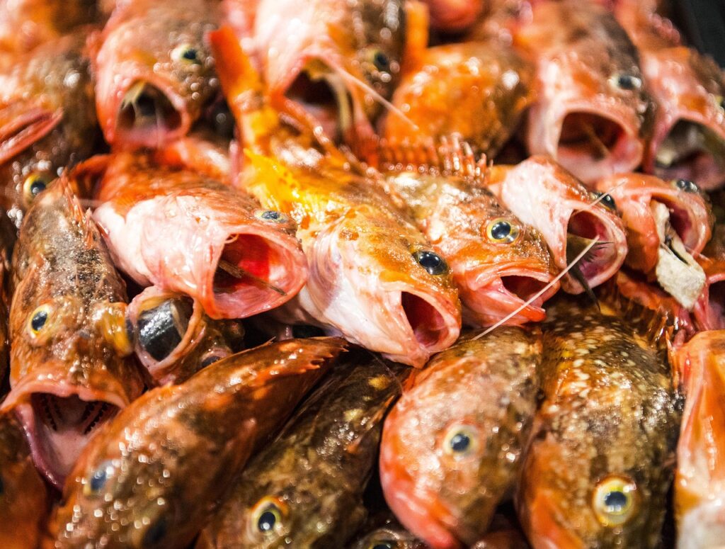 一人暮らしの初期費用はいくら必要？