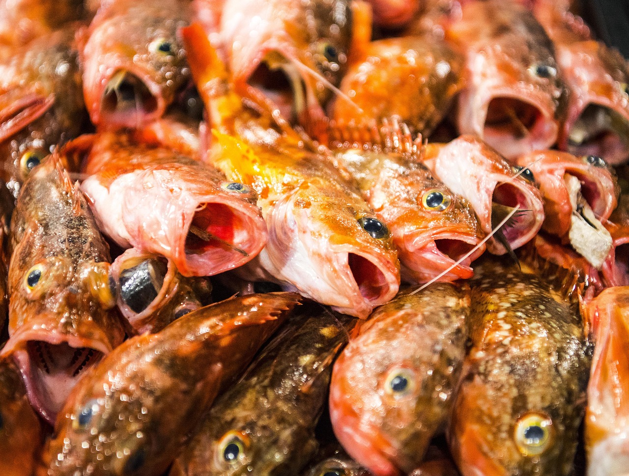 一人暮らしの初期費用はいくら必要？