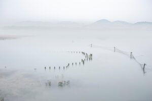 一人暮らしでネット回線がエリア外の場合の解決策は？