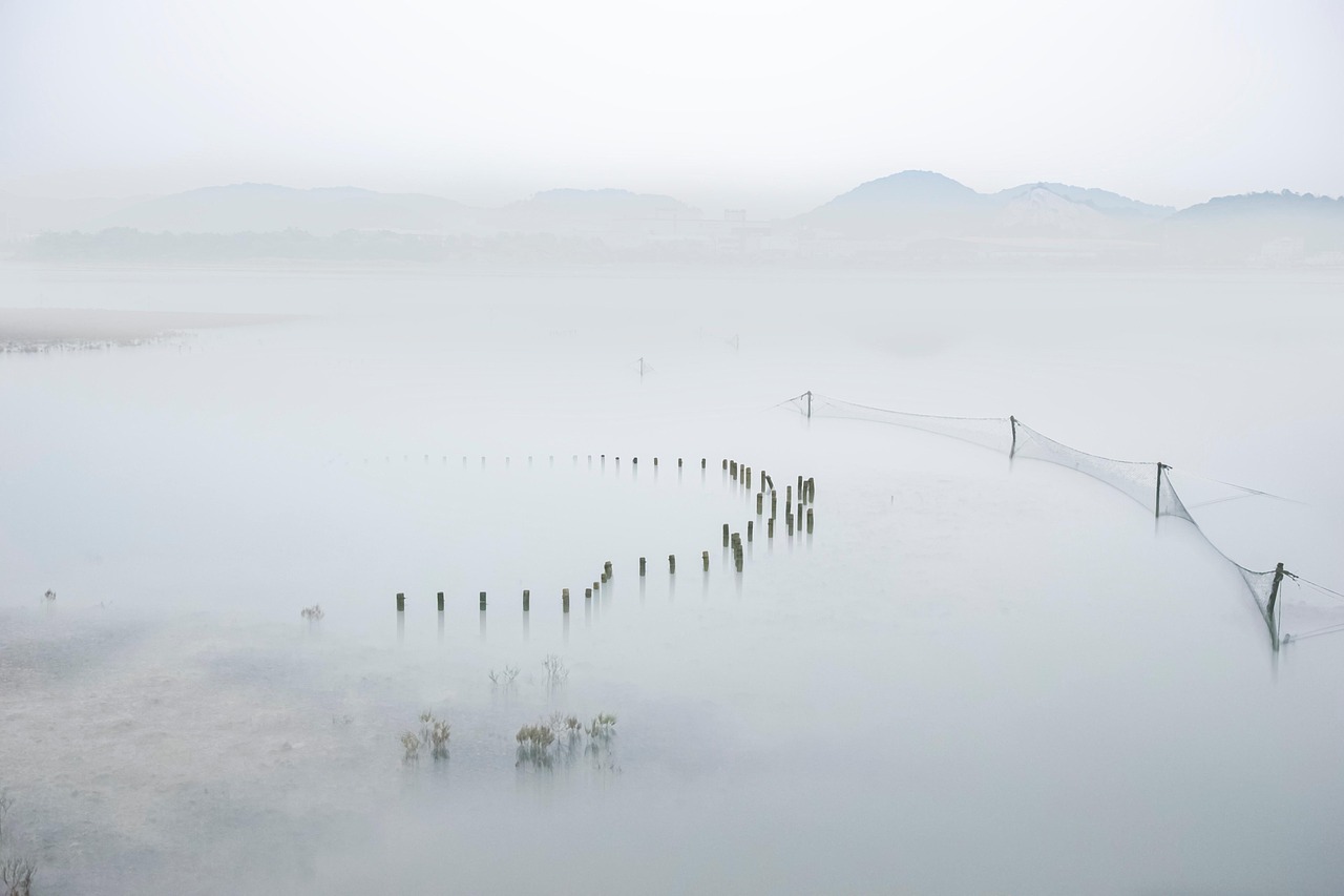 一人暮らしでネット回線がエリア外の場合の解決策は？