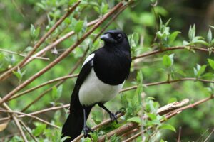 一人暮らしの人が知っておくべき1階の防犯対策は？