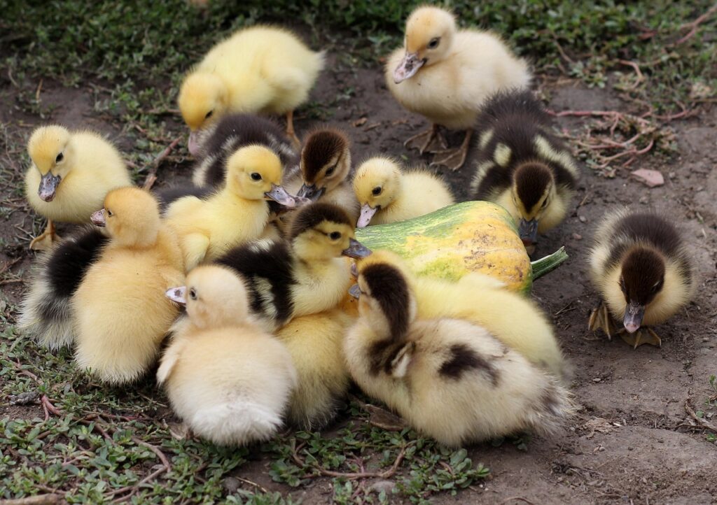 一人暮らしの初期費用を分割払いで賢く抑える方法は？