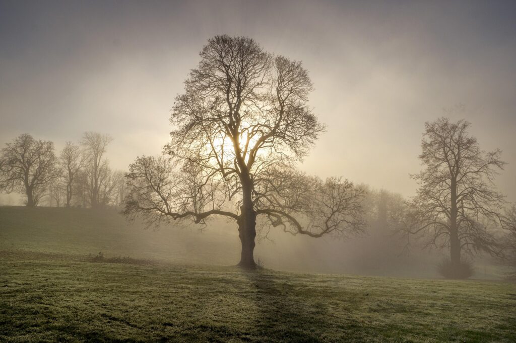 保証人なしで賃貸を探す方法は？