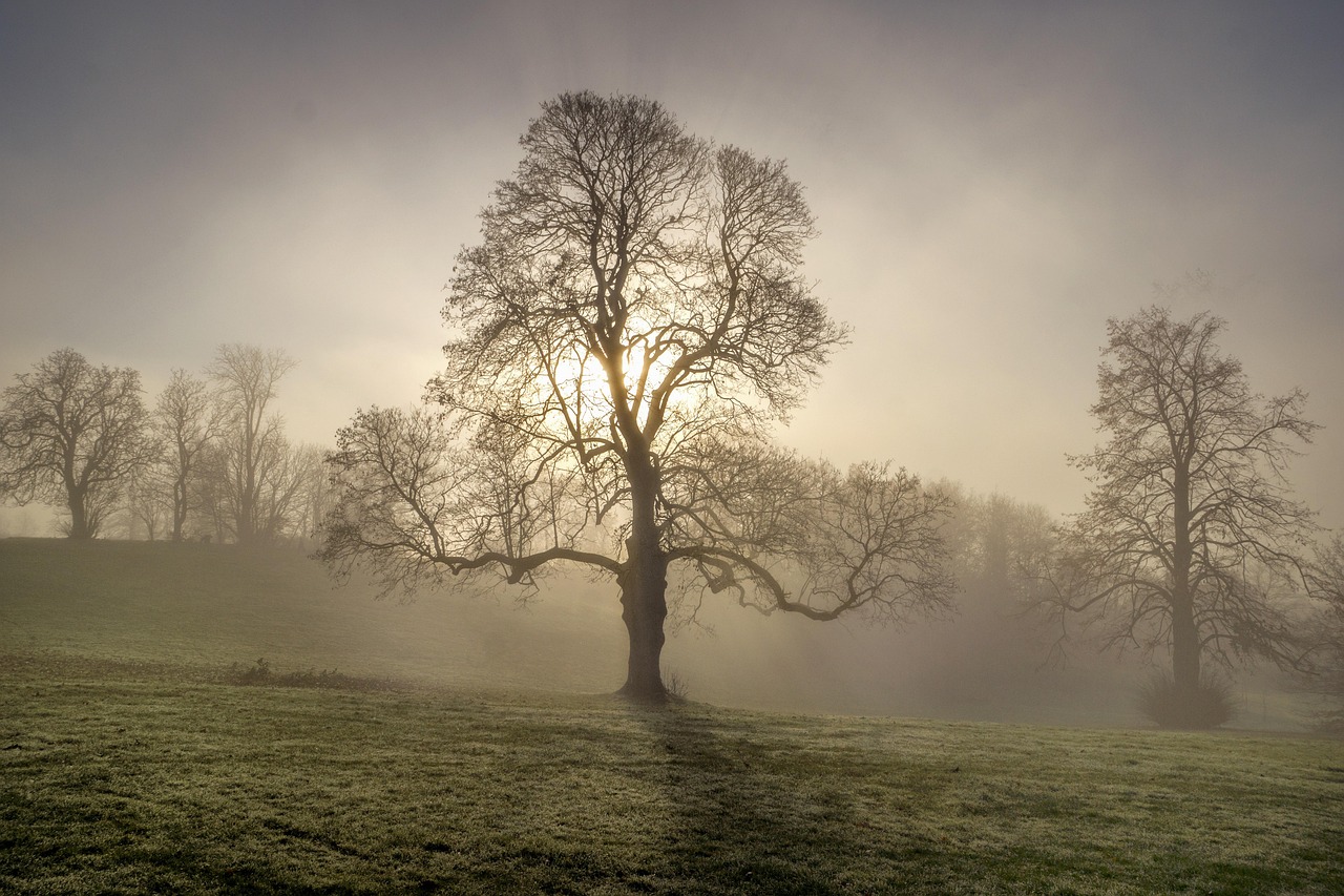 保証人なしで賃貸を探す方法は？