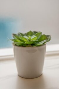 敷金礼金なしの物件の探し方は？