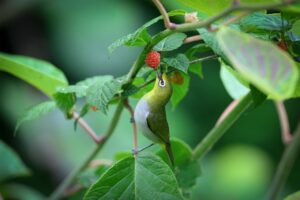 一人暮らしでガスが止まった時の対処法は？