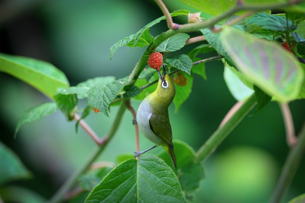 一人暮らしでガスが止まった時の対処法は？