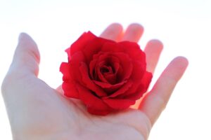 一人暮らしで支払い忘れた場合はどうなる？