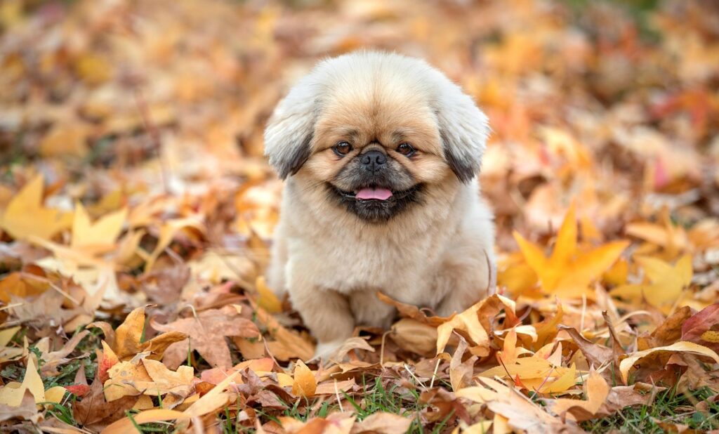 一人暮らしの水道代が高い理由とは？