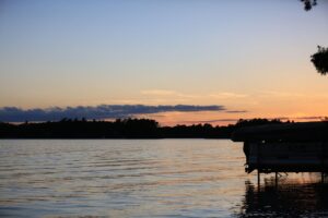 一人暮らしで快適に過ごすためのWi-Fi選びと通信制限の注意点は？