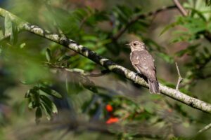 後をつけられた女性が知っておくべき対処法は？