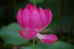 一人暮らしの引っ越しにおけるベストなタイミングは？