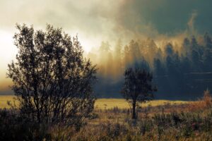 一人暮らしの自炊を始めるための初期費用はどのくらいかかる？