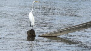 一人暮らしの退去時に掃除はどこまで行うべき？