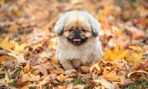 初心者が知っておくべき家計簿のつけ方とは？