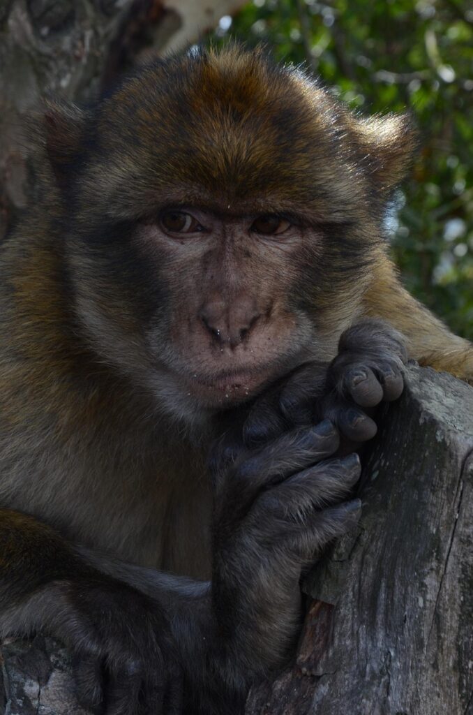 一人暮らしでのカビ防止方法にはどんな対策がある？
