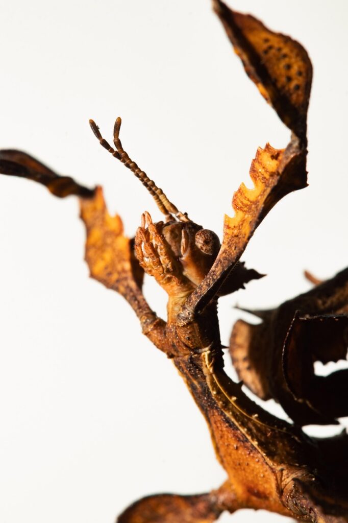 一人暮らしでよくある失敗談の具体例とは？