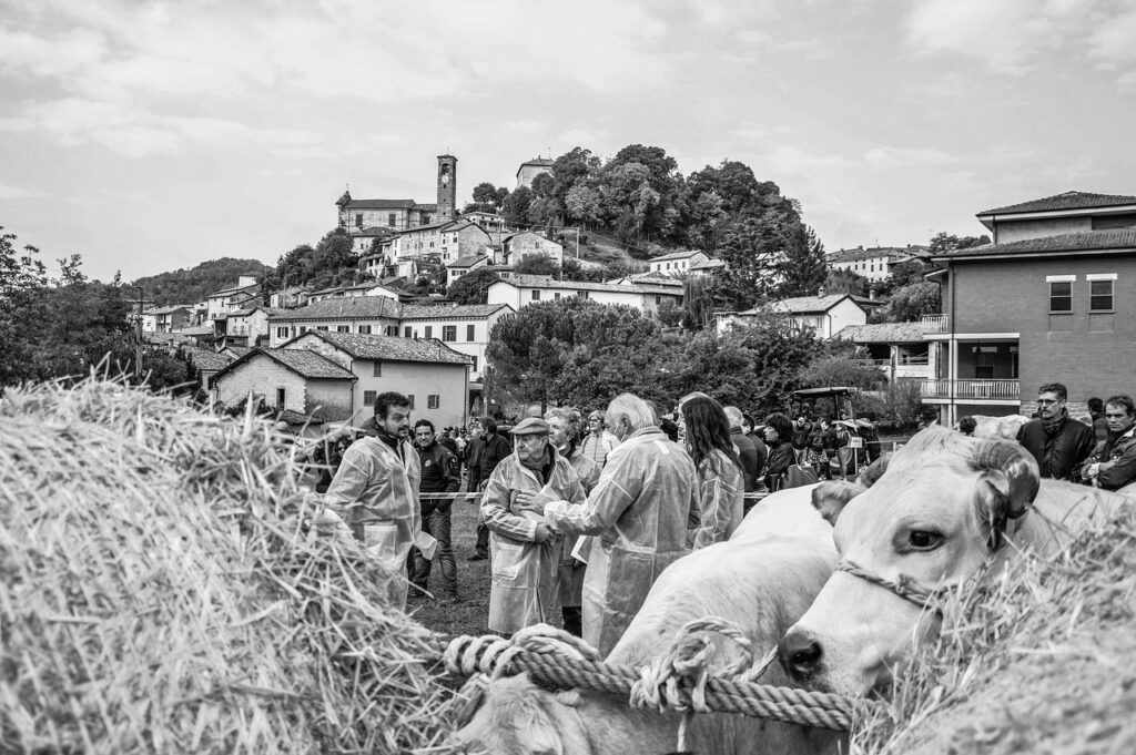 一人暮らしのための仲介手数料はいくらかかる？