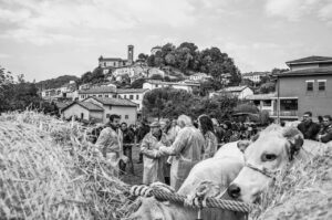 一人暮らしのための仲介手数料はいくらかかる？