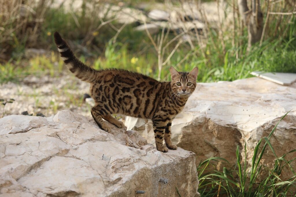 一人暮らしの新生活で失敗しないためのコツは？