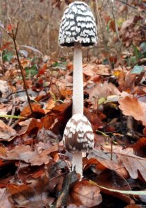 一人暮らしの部屋でできる湿気対策は？