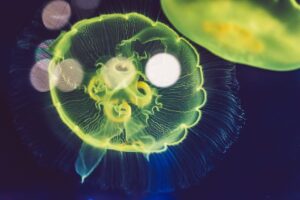 一人暮らしの生活費の内訳はどのくらいが目安？